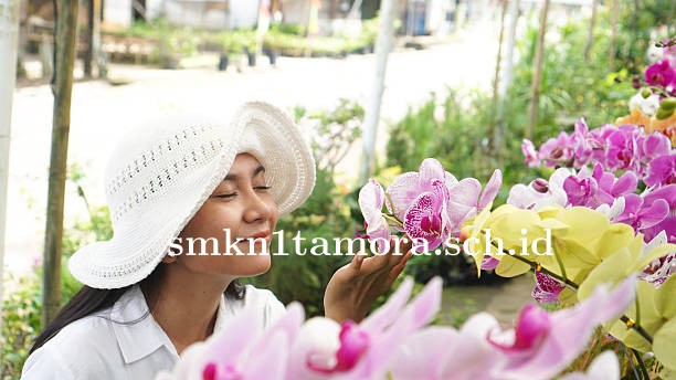 Keuntungan Belanja Anggrek di Puspa Dewi Flower untuk Kebutuhan Kantor